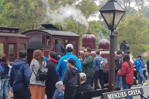 Day Tour Of Yarra Valley Puffing Billy And Rayners Orchard - Accommodation Perth 40