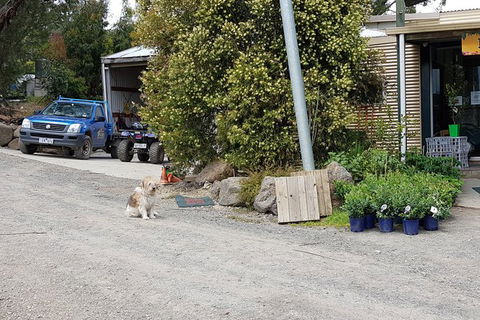 Day Tour Of Yarra Valley Puffing Billy And Rayners Orchard - Accommodation Perth 6