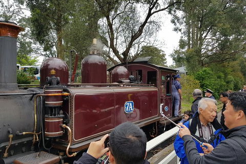 Day Tour Of Yarra Valley Puffing Billy And Rayners Orchard - Accommodation Perth 28