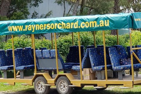 Day Tour Of Yarra Valley Puffing Billy And Rayners Orchard - Accommodation Perth 33