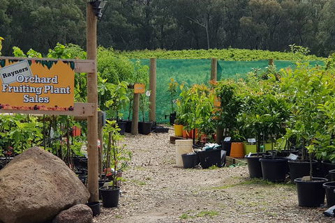 Day Tour Of Yarra Valley Puffing Billy And Rayners Orchard - Accommodation Perth 22