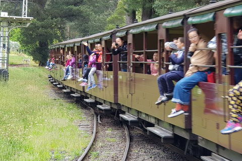 Day Tour Of Yarra Valley Puffing Billy And Rayners Orchard - Accommodation Perth 13