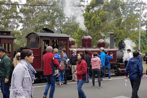 Day Tour Of Yarra Valley Puffing Billy And Rayners Orchard - Accommodation Perth 4