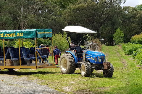 Day Tour Of Yarra Valley Puffing Billy And Rayners Orchard - Accommodation Perth 25