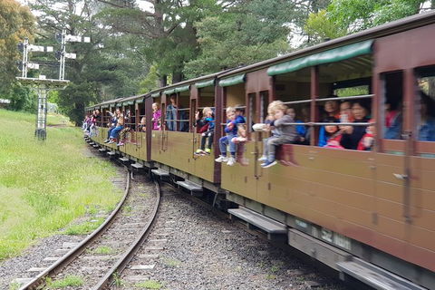 Day Tour Of Yarra Valley Puffing Billy And Rayners Orchard - Accommodation Perth 24