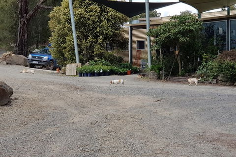 Day Tour Of Yarra Valley Puffing Billy And Rayners Orchard - Accommodation Perth 26