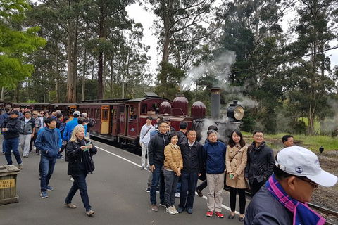 Day Tour Of Yarra Valley Puffing Billy And Rayners Orchard - Accommodation Perth 9