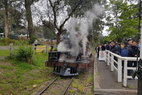 Day Tour Of Yarra Valley Puffing Billy And Rayners Orchard - Accommodation Perth 43