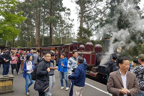 Day Tour Of Yarra Valley Puffing Billy And Rayners Orchard - Accommodation Perth 12