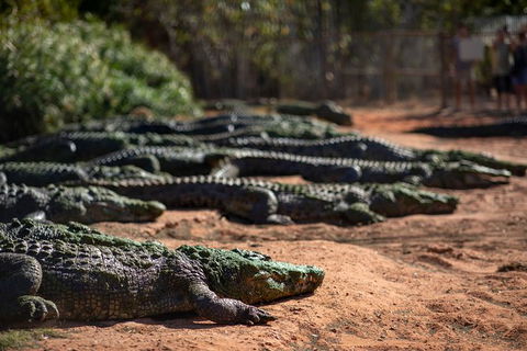 Malcolm Douglas Crocodile Park - Accommodation Perth 8