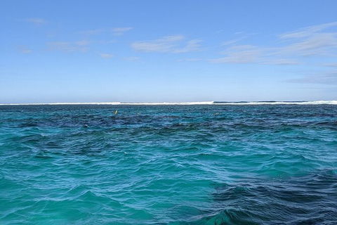 Marine Eco Safari - Swim With Manta Rays - Perth Resorts 2
