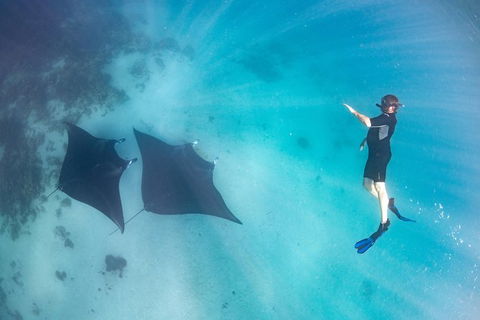 Marine Eco Safari - Swim With Manta Rays - Perth Resorts 1