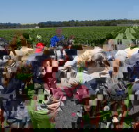 Margaret River Tour The Full Bottle