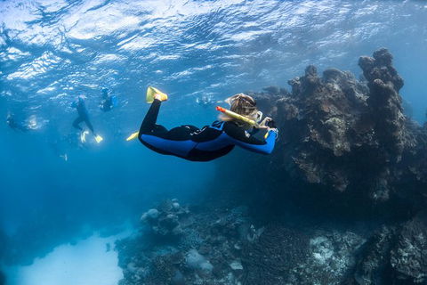 Ningaloo Adventure And Manta Ray Tour - Perth Resorts 6