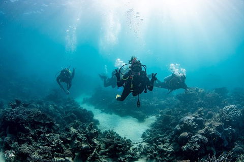 Ningaloo Adventure And Manta Ray Tour - Perth Resorts 4