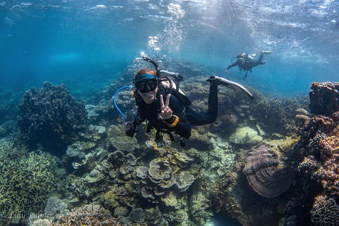 Ningaloo Adventure And Manta Ray Tour - Perth Resorts 0