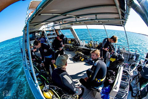 Ningaloo Adventure And Manta Ray Tour - Perth Resorts 8