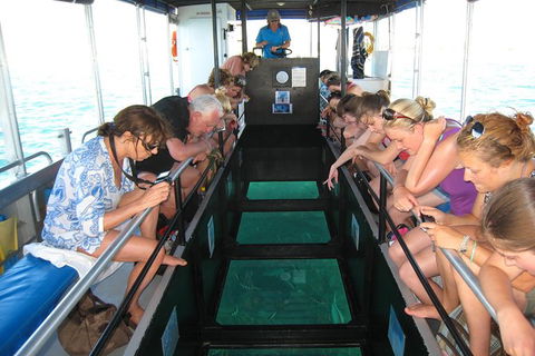 Coral Bay 1-Hour Coral Viewing - Accommodation Perth 3