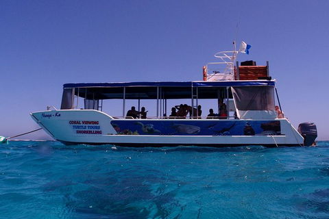 Coral Bay 1-Hour Coral Viewing - Accommodation Perth 1