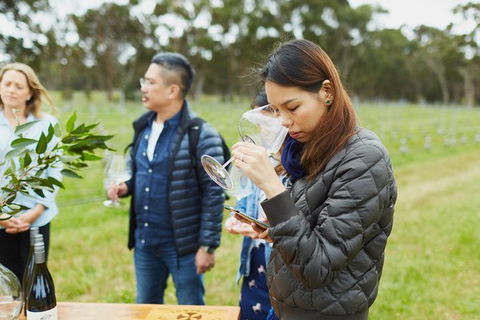 Organic Vineyard/Farm Tour - Accommodation Perth 1
