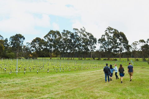 Organic Vineyard/Farm Tour - Accommodation Perth 7
