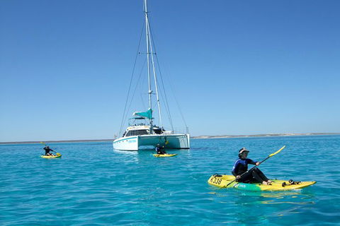 5 Night Ningaloo Reef Ningaloo Escape From Coral Bay - Accommodation Perth 0