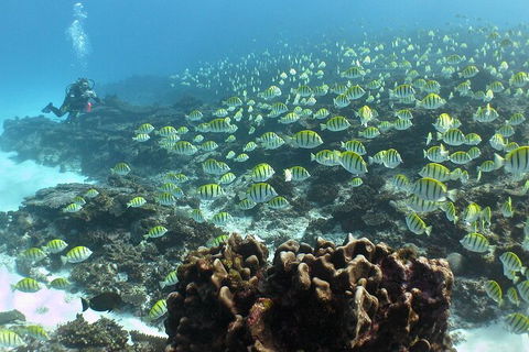 5 Night Ningaloo Reef Ningaloo Escape From Coral Bay - Accommodation Perth 5