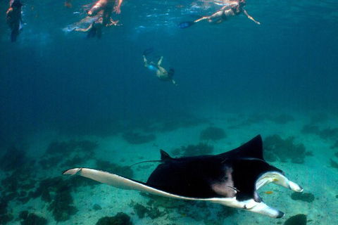 5 Night Ningaloo Reef Ningaloo Escape From Coral Bay - Accommodation Perth 1