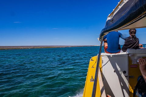 Ningaloo Immersion Private Charter - Accommodation Perth 0