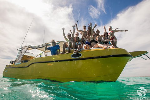 Ningaloo Immersion Private Charter - Accommodation Perth 9