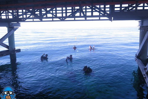 PADI Open Water Course - Accommodation Perth 3
