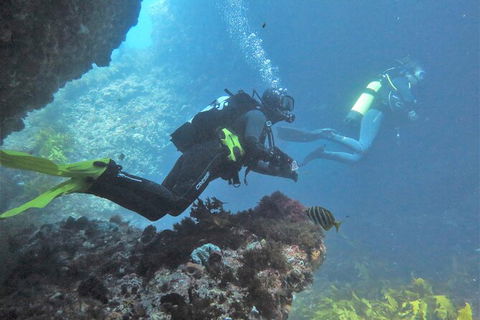 PADI Open Water Course - Accommodation Perth 2