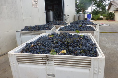 A Taste Of Margaret River Luxury Wine Tour - Perth Resorts 3