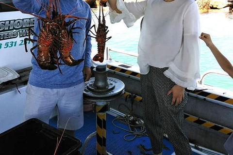 Lobster Fishing Tour At Geraldton - Accommodation Perth 1