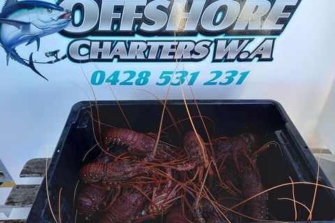 Lobster Fishing Tour At Geraldton - Accommodation Perth 0