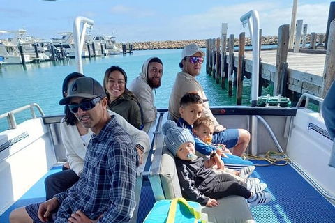 Whale Watching Boat Tour In Geraldton - Accommodation Perth 1