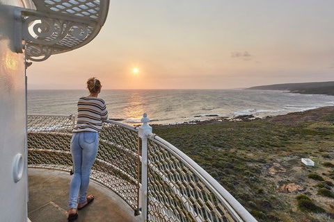 Full-Day Tour From Perth To Margaret River - Accommodation Perth 11