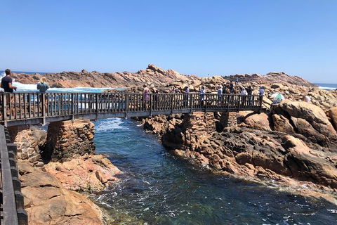 Full-Day Tour From Perth To Margaret River - Accommodation Perth 12