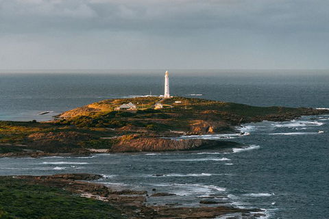 Full-Day Tour From Perth To Margaret River - Accommodation Perth 9