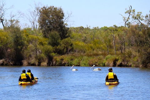 Private Guided River Kayak Tour - Accommodation Perth 4