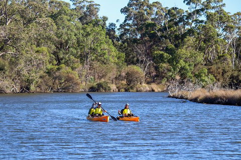 Private Guided River Kayak Tour - Accommodation Perth 7