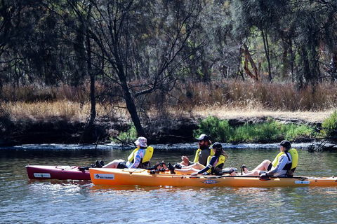Private Guided River Kayak Tour - Accommodation Perth 3