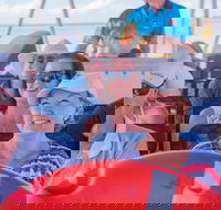 The Island Sandbar Experience - Accommodation Perth