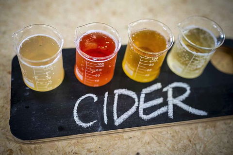 Bickley Valley Wine & Cider Tour - Premium Small Group Tour - Accommodation Perth 1