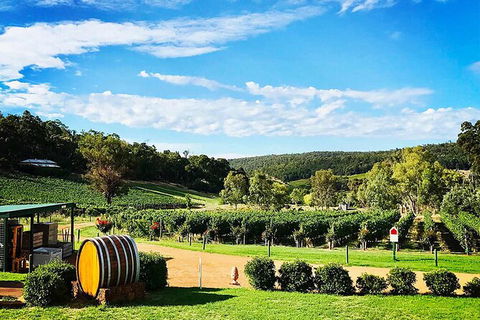 Bickley Valley Wine & Cider Tour - Premium Small Group Tour - Accommodation Perth 0