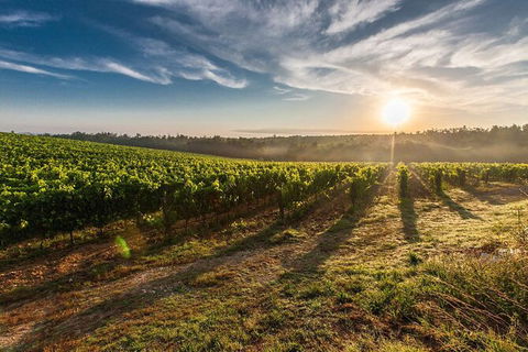 Perth To Margaret River Wine Tour - 2 Day Premium Boutique Wine Tour Experience - Accommodation Perth 0