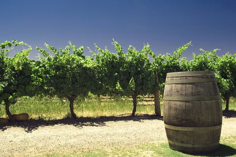 Pinnacles Desert Private Tour - Accommodation Perth 4