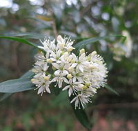 Booderee National Park - Accommodation Perth