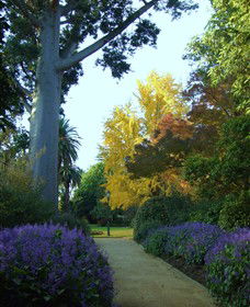  Accommodation Perth
