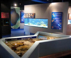Marine And Freshwater Discovery Centre - Accommodation Perth 0